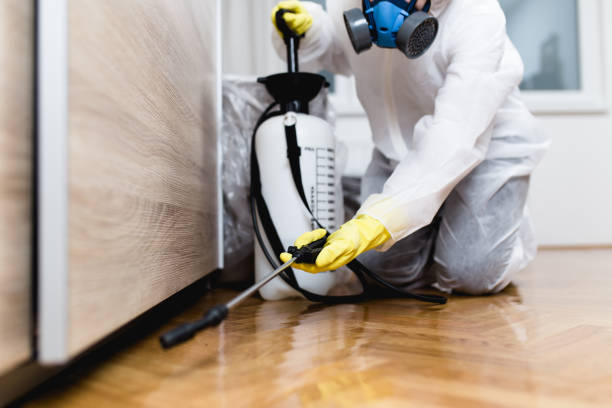Best Pest Control for Restaurants  in Tichigan, WI