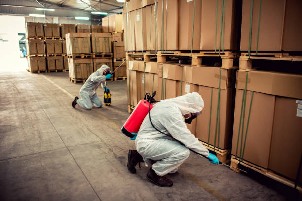 Best Pest Control for Homes  in Tichigan, WI
