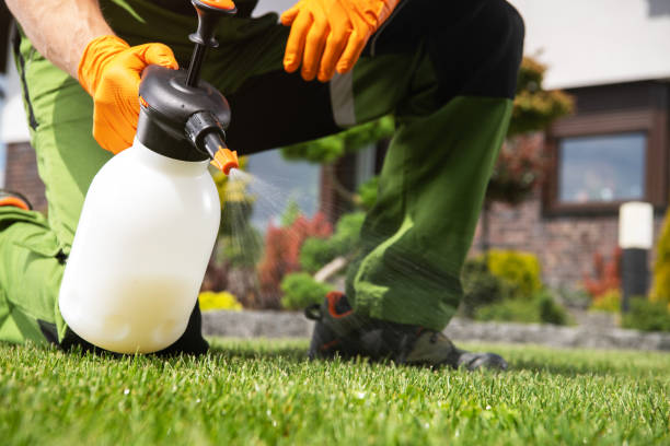 Best Best Pest Control Companies  in Tichigan, WI