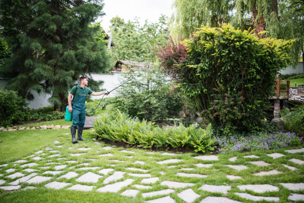 Best Emergency Pest Control  in Tichigan, WI