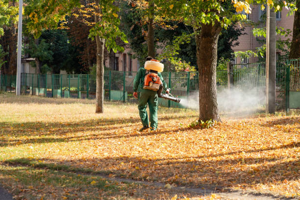 Best Pest Removal Services  in Tichigan, WI