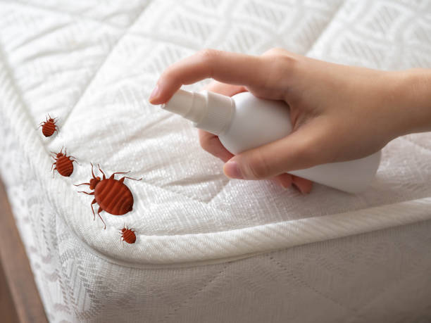 Best Ant Control Services  in Tichigan, WI