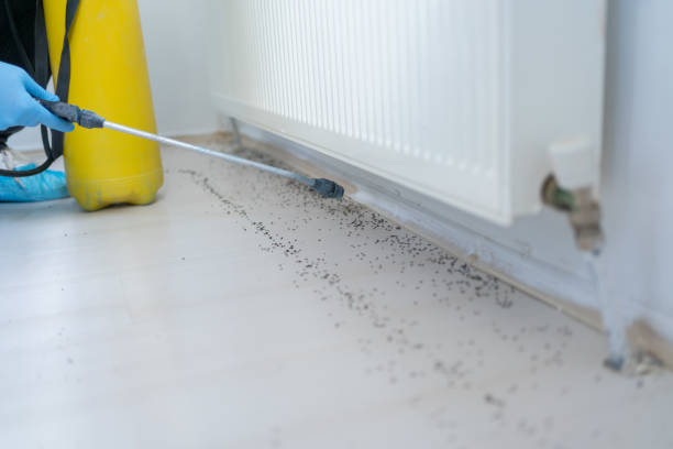  Tichigan, WI Pest Control Pros
