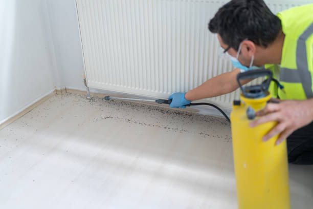 Best Ant Control Services  in Tichigan, WI