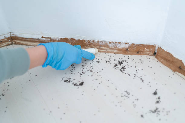 Best Affordable Pest Control Services  in Tichigan, WI