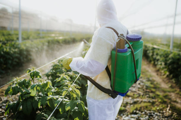 Best Cockroach Control Services  in Tichigan, WI